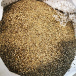 Kanapės Hemp Seeds