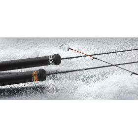 Winter spinning Croix Avid Glass