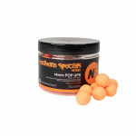 Ujuvkatlad NS1 Northern Specials Orange Pop-Ups