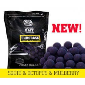 Tirpstantys Boiliai SBS Baits EuroBase Soluble Squid & Mulberry