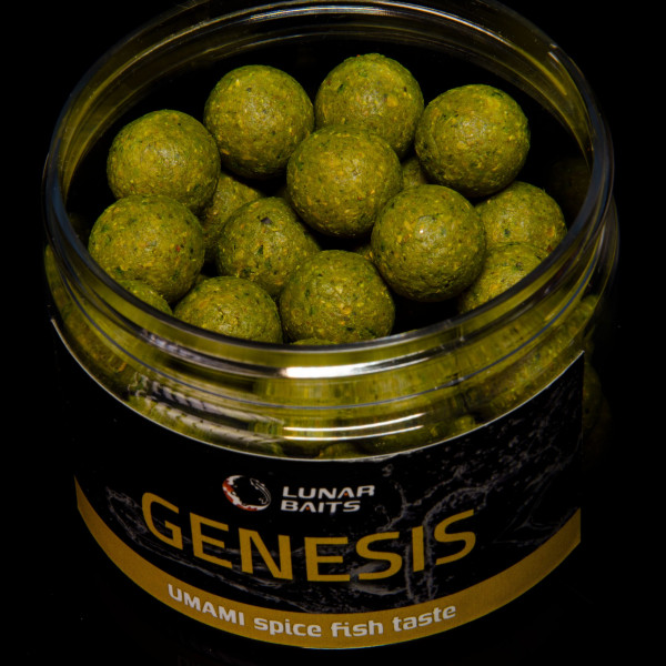 Lunar baits Genesis tirpūs masalai karpių žvejybai (UMAMI