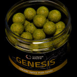 Lunar baits Genesis tirpūs masalai karpių žvejybai (UMAMI