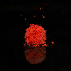 Lunar baits Tirpūs Hydra masalai karpių žvejybai (aštri lašiša)