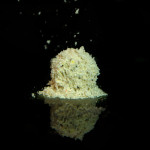 Lunar baits Luna tirpūs masalai karpių žvejybai (tigriniai