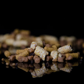 Lunar baits SNACKMIX PLUM tirpios peletės karpių žvejybai 2kg