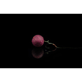 Lunar baits Berry Blend Wild laukiniams karpiams, 5 kg.