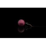 Lunar baits Berry Blend Wild laukiniams karpiams, 5 kg.