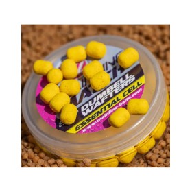 Match Dumbell Wafters Yellow Essential Cell