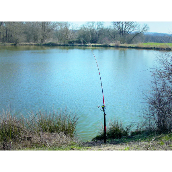copy of Catfish rod holder Delphin EXTREME