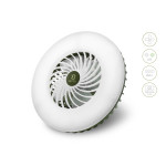 Fan with Light Delphin Ventix