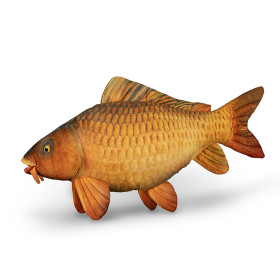Delphin CARPY Plush Carp
