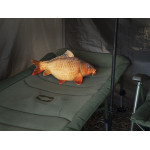 Delphin CARPY Plush Carp