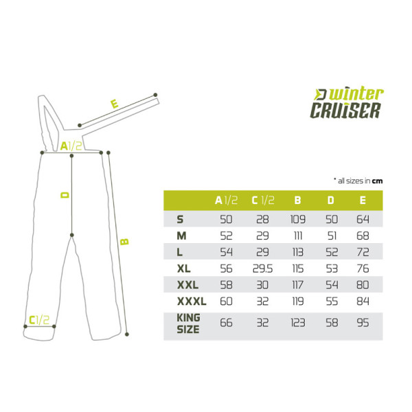 Delphin Winter CRUISER 5T