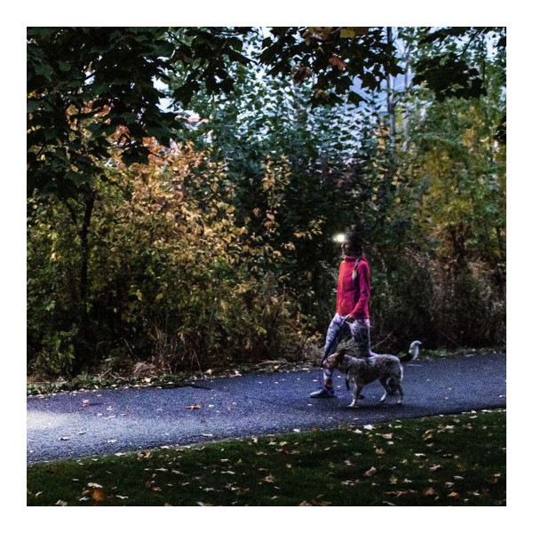 Žibintuvėlis LEDLENSER HF4R Core black