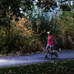 Žibintuvėlis LEDLENSER HF4R Core black