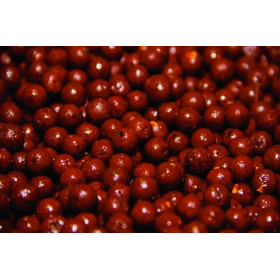 Katlad Dynamite keed