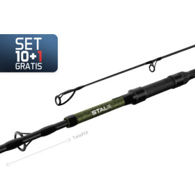 10+1 - Delphin STALX 300cm/3.25lbs/TeleFIX
