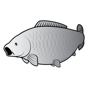 Carp sticker SILVER