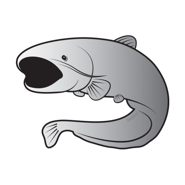 Catfish sticker SILVER