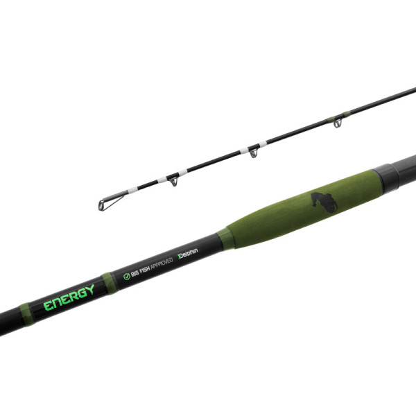 Delphin ENERGY Catfish 310cm/250-500g/2 parts