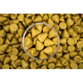 Forgotte Flavours Snail [100% NATURAL] wafters
