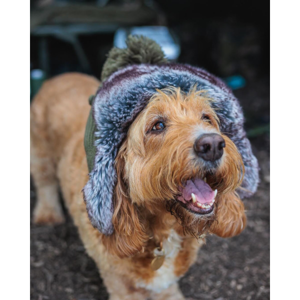 Fox Trapper hat