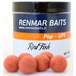 Boiliai Renmar Baits Pop-Ups