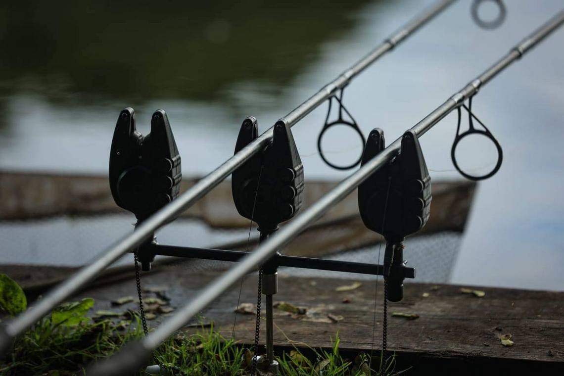 Kokybiški Meškerykočiai